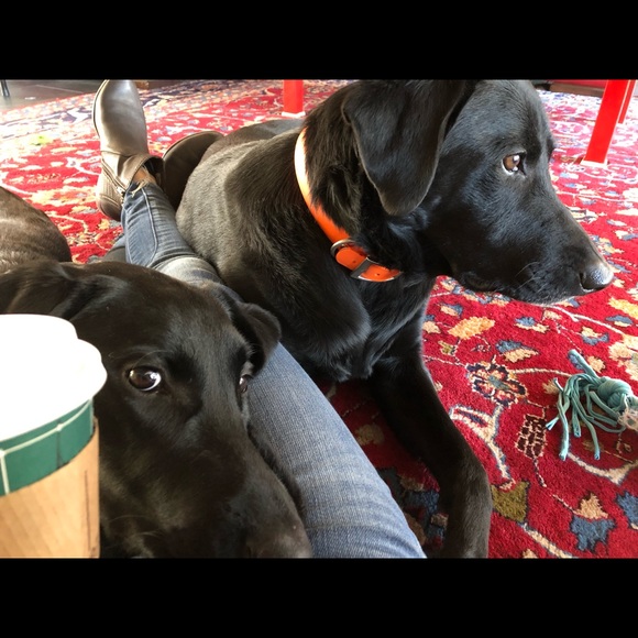 About me!💖 - Picture 2 of 4